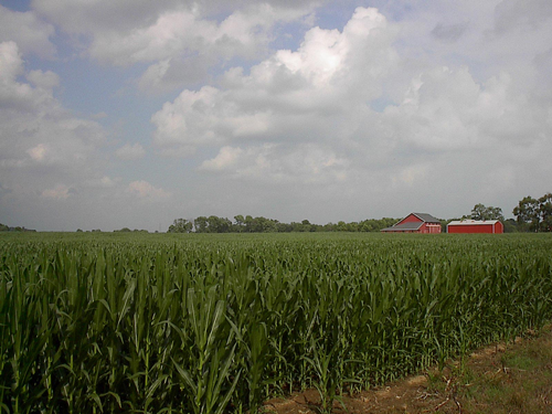 farmland