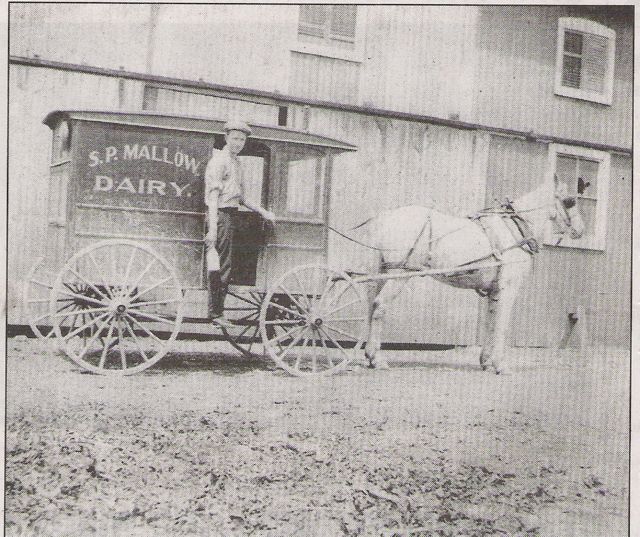 S.P. Mallow Dairy.jpg