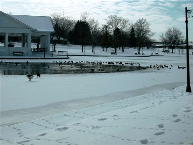 Shawnee park