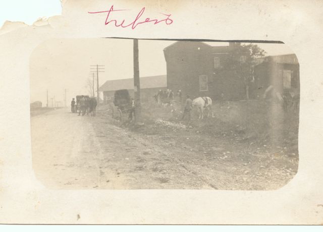 Trebein-1
