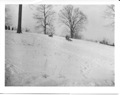 Old sledding hill