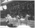 Parade-7