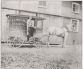 S.P. Mallow Dairy.jpg